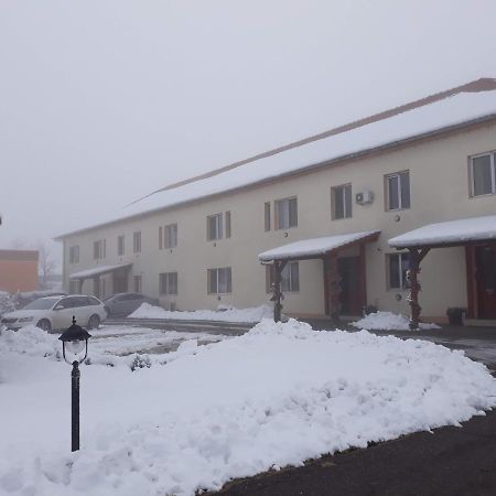 Vila Zoppas Inn Sînnicolau Mare Exterior photo