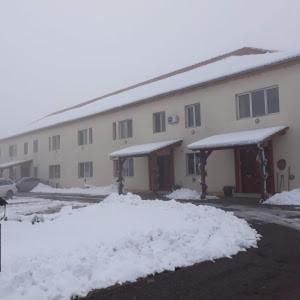 Vila Zoppas Inn Sînnicolau Mare Exterior photo
